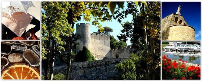 Agence TERRE D ARGENCE Beaucaire