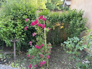  Appartement � louer 1 pi�ce 23 m�