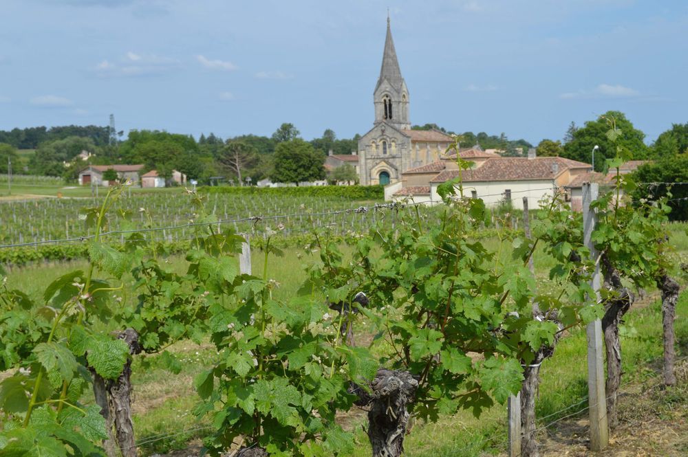 � vendre  Propri�t�/ch�teau Bordeaux (33000)