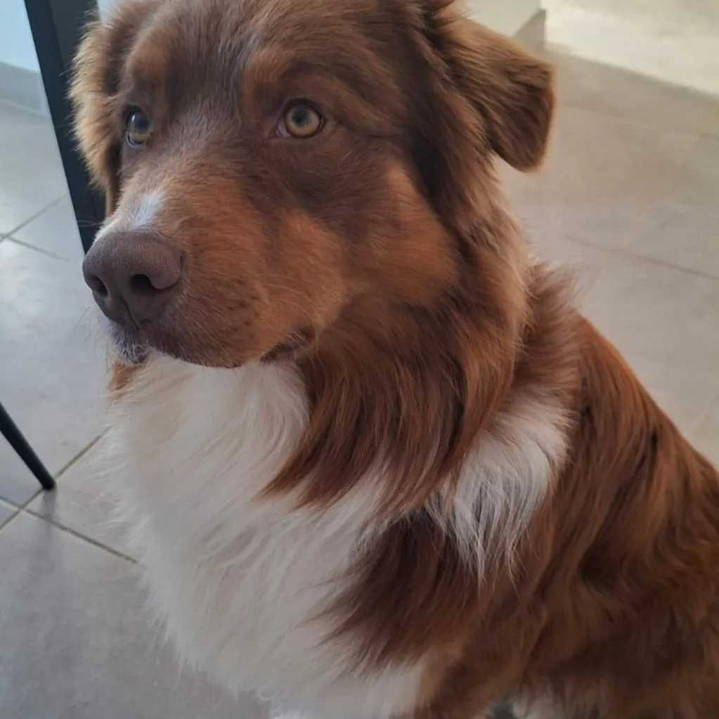 BLUE 200 26100 Romans-sur-is�re