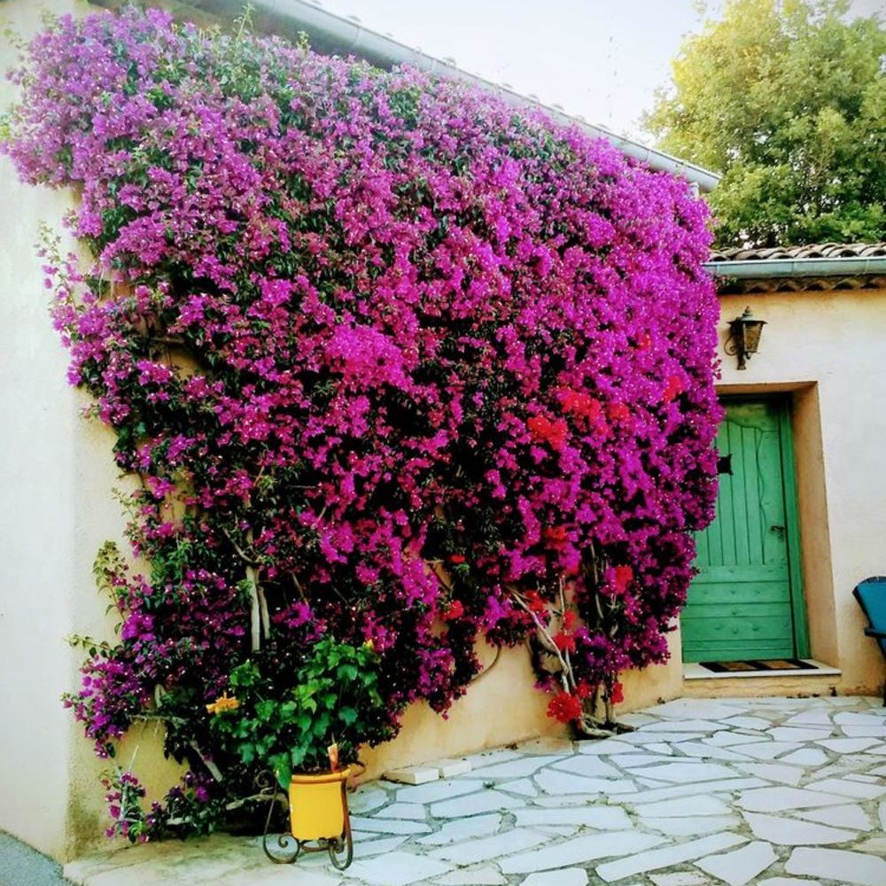 � vendre  Maison Le Rouret (06650)