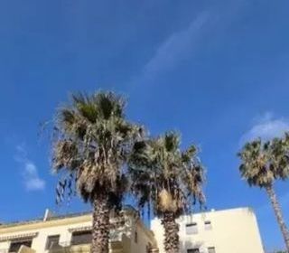  Appartement � vendre 1 pi�ce 22 m�