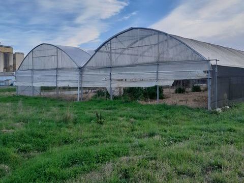 Mat&eacute;riel Agricole / Viticole Mat&eacute;riel Agricole / Viticole 1234 occasion Sistels 82340