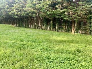  Maison � vendre 9 pi�ces 300 m�