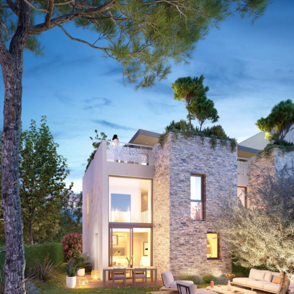  Montpellier (34000)