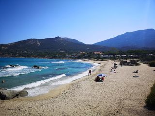  Appartement � vendre 2 pi�ces 42 m�