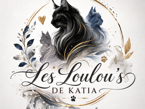 Chatons Maine Coon LOOF 1500 51000 Ch�lons-en-champagne