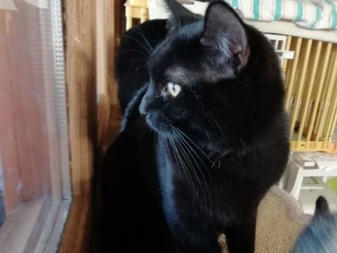 UDO 210 92400 Courbevoie