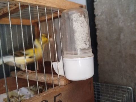 Canaris 40 66470 Sainte-marie