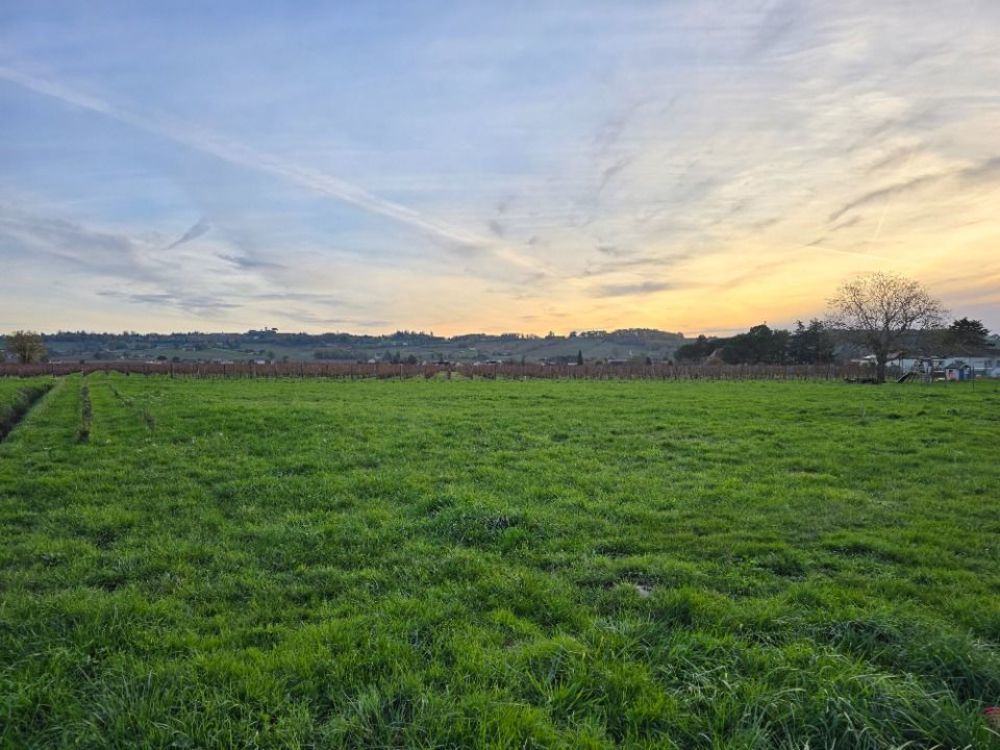   Saint-Laurent-des-Vignes (24100)