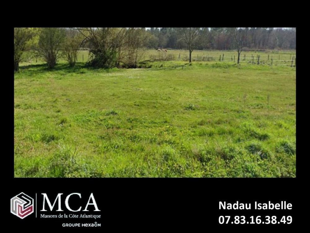 Maisons neuves   Montlieu-la-Garde (17210)