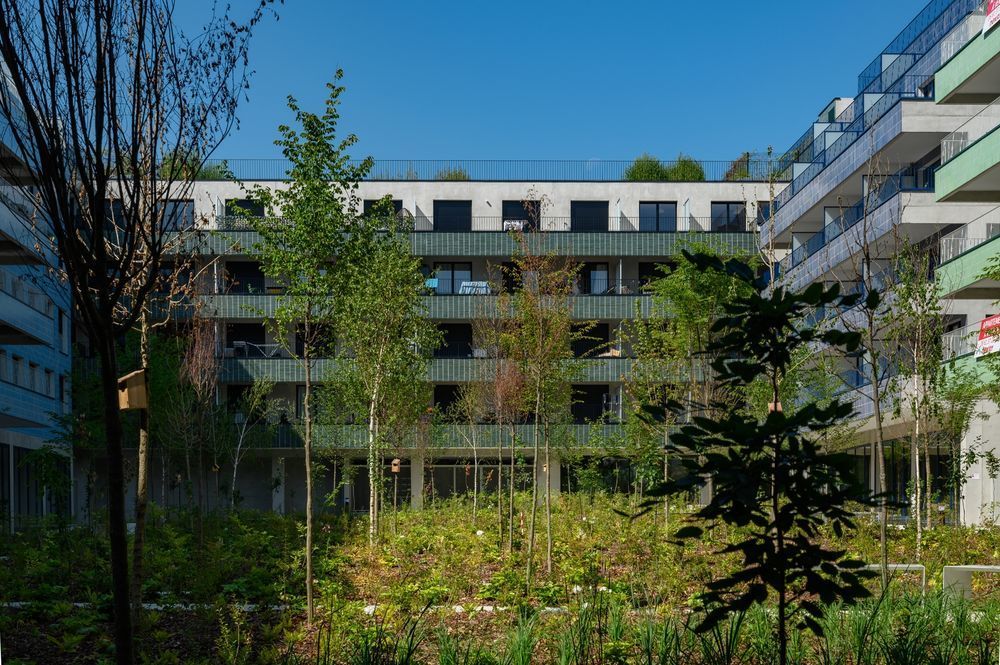 Appartements neufs   Massy (91300)