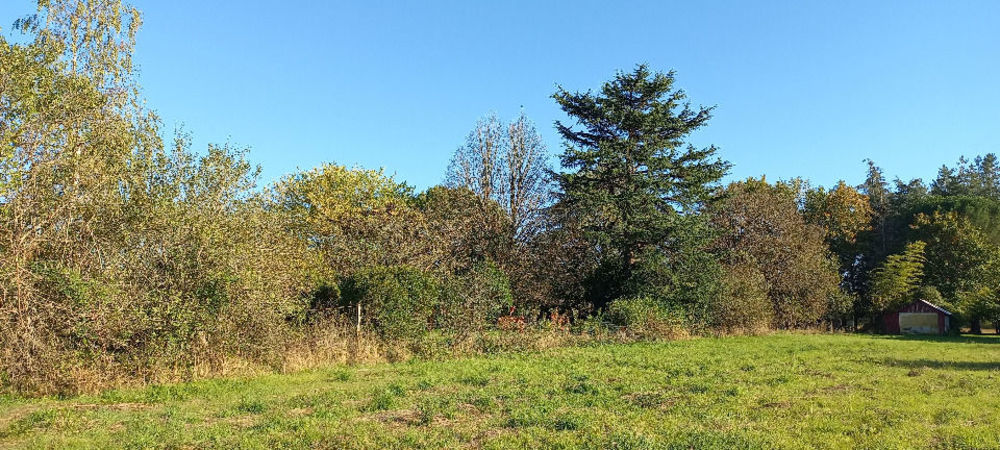 Terrains � batir   Saint-Martial-d'Artenset (24700)