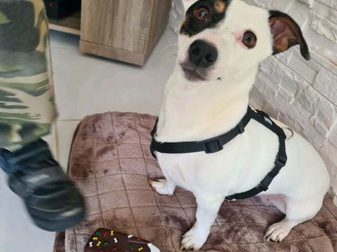 CHERCHE MAITRE POUR PETIT POT DE COLLE EN ISERE 0 38140 Rives