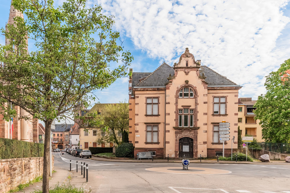 Appartements neufs   Obernai (67210)