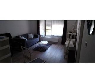  Appartement � louer 2 pi�ces 36 m�