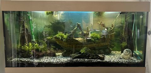 Aquarium complet Juwel Rio 450L �" pr&ecirc;t &agrave;  l'emploi 390 83460 Les arcs