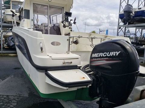 Bateaux &agrave; moteur P&ecirc;che-promenade 2013 occasion Paimpol 22500