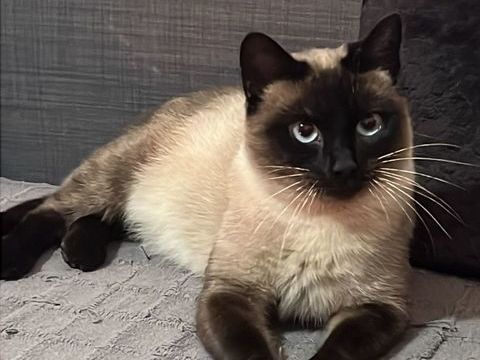 ARIA 230 27620 Gasny