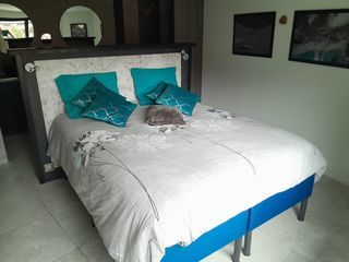  Appartement � louer 2 pi�ces 59 m�