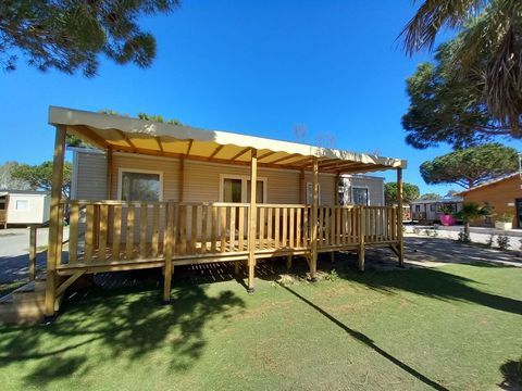 Mobil-Home Mobil-Home 2025 occasion Torreilles 66440