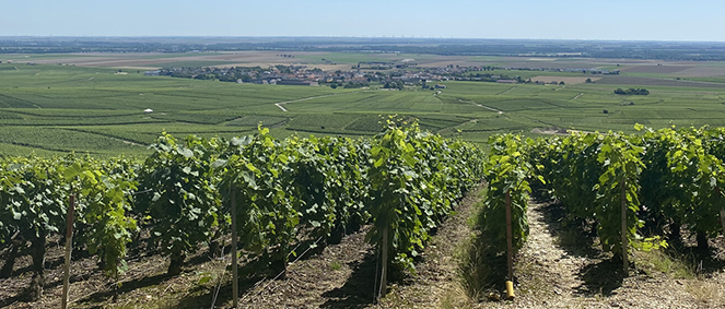 Agence Vers l'immobilier - Agence immobili�re � �pernay  �pernay