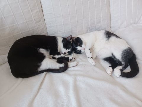 REJANE ET BERLINGOT 370 92400 Courbevoie