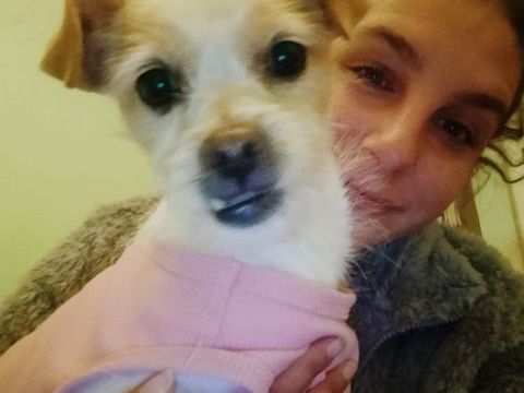 Perla&#129655;  7 kg, petite étoile tombée dans la nuit, cherche enfin son foyer pour la vie 315 24140 Douville