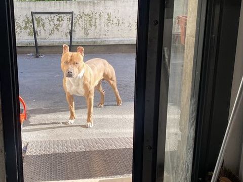 Staff &agrave; donner. 0 93200 Saint-denis