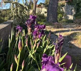  Maison � vendre 3 pi�ces 60 m�