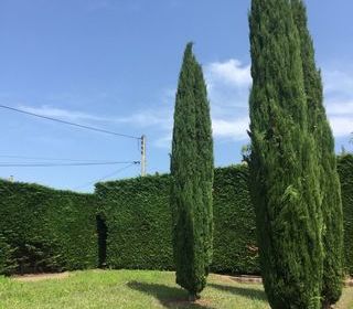  Terrain � vendre 525 m�