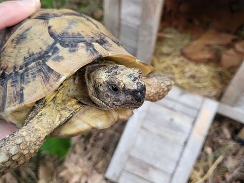 Recherche Hermann 100 47230 Barbaste