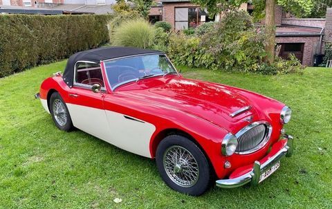 Austin Autres Healey 3000 MKII BT7 1962 occasion Grimbergen, Belgi&euml; 