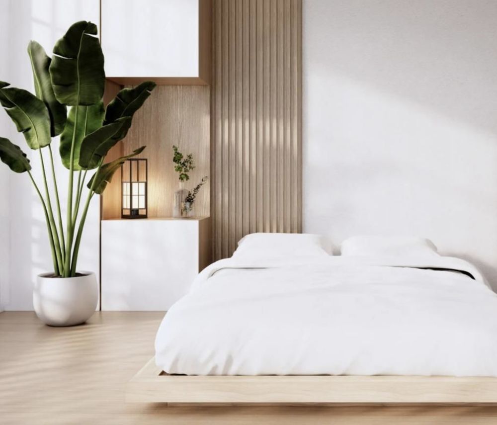 Appartements neufs   Auzeville-Tolosane (31320)