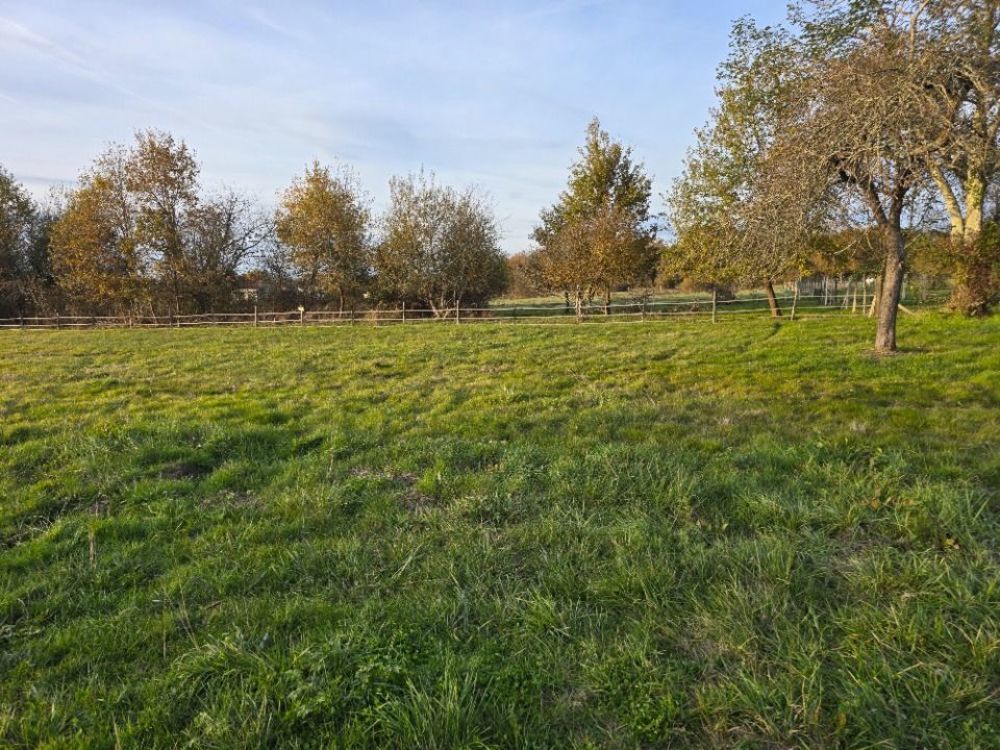 Maisons neuves   La Force (24130)