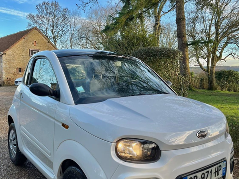 Voiture sans permis Voiture sans permis  occasion Domfront-en-Champagne 72240