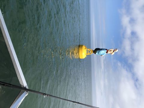 Bateaux &agrave; moteur P&ecirc;che-promenade 2005 occasion Douai 59500