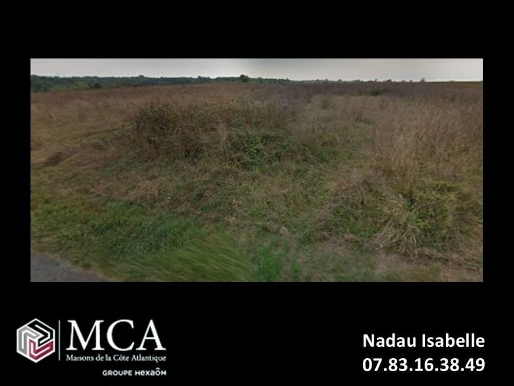   Cartel�gue (33390)