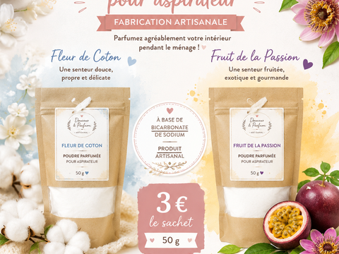 Poudre Parfumée Aspirateur 3 Cubzac-les-Ponts (33)