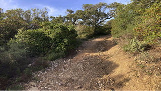  Terrain � vendre 37000 m�