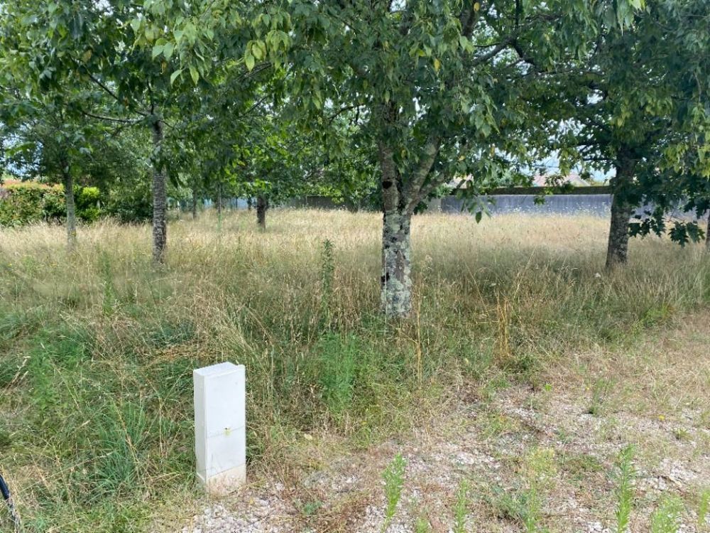 Maisons neuves   Artigues-près-Bordeaux (33370)