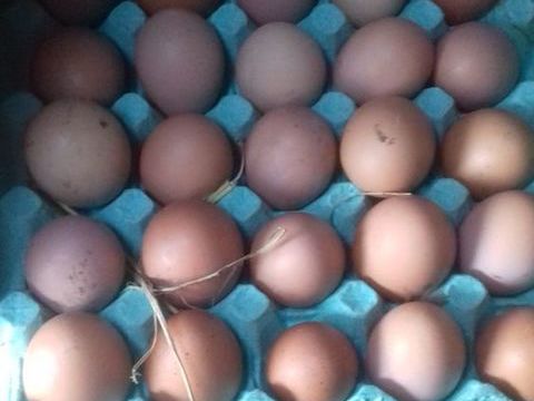 ?ufs frais 5 34300 Agde