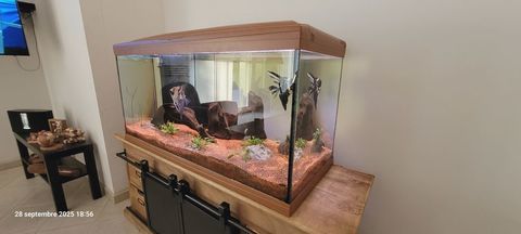 Aquarium ferplast cayman 240 litres. 
200 35330 Mernel