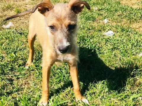 Ashley, la joueuse 300 77000 Livry-sur-seine