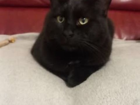 ALDO 75 95420 Magny-en-vexin