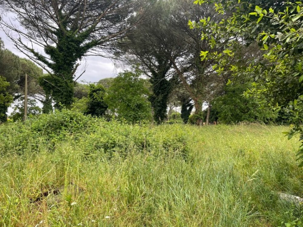 Maisons neuves   Langon (33210)