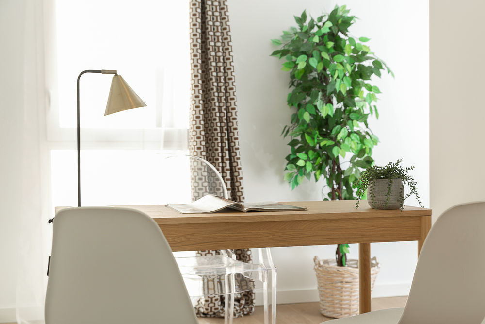 Appartements neufs   Marseille (13006)