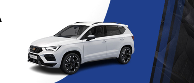 PEUGEOT BUZET SUR BASE, concessionnaire 47