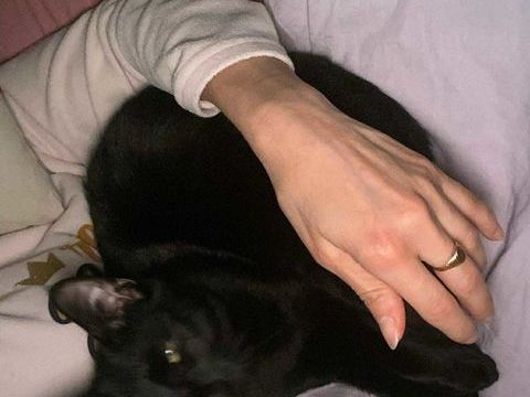 Tom &agrave; l'adoption avec son copain Fripouille 180 92000 Nanterre