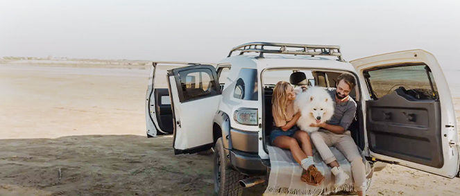 VIA AUTOMOBILE MOUGINS, concessionnaire 06